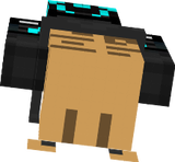 skin.1