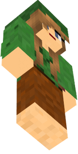 mcskin2