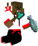 Swag