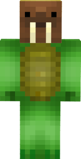 minha  skin mini brhoter