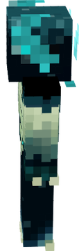 Warden