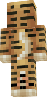 dzeri