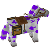 Polkadot horse