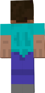 steve