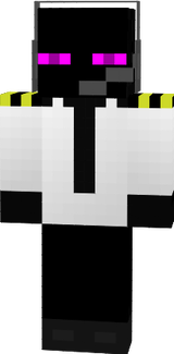 Ender Pilot