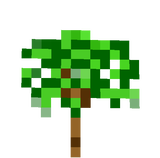 palm tree sprout