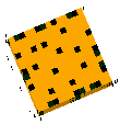 Cacto