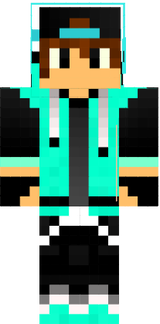 Flash_Play