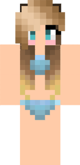 Skinformat