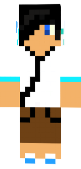 SudoX skinje 