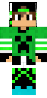 skin