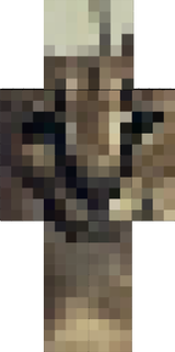 flopa