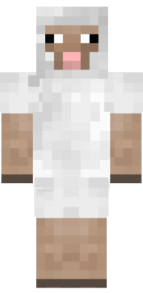 Preview of texture: floppa