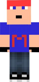 Blokhus