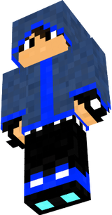 RayconSD