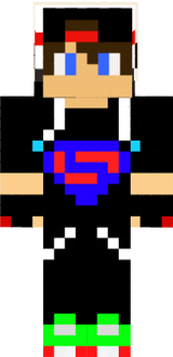 dmslol11