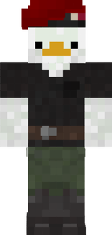  cs