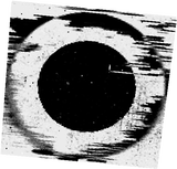 catalyst_carpet