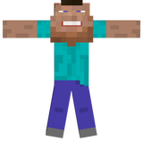 FUNNY STEVE