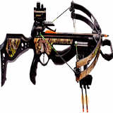 the best BOW by Yuval Haruus