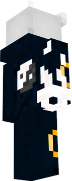 aasdsa