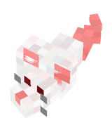 white rat
