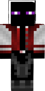 EnderLogos20