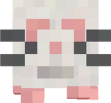 kol