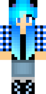 skins for winter