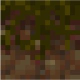 mycelium_side