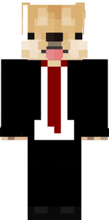 cachoro status 1