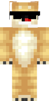 DogeInComing