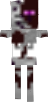Ender Infested Skeleton