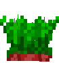 beet root stems