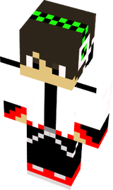 skin