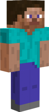 steve
