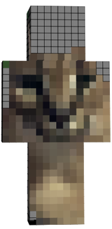 Flopa