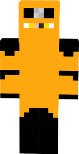 dsaidan_gamer