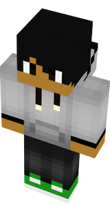 IS4_IGOR