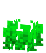 Strawberry Bush 2