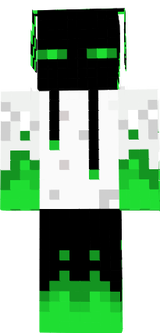 skin 3