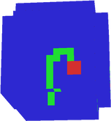 плод