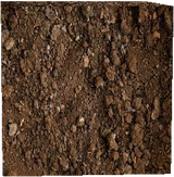 realistic dirt