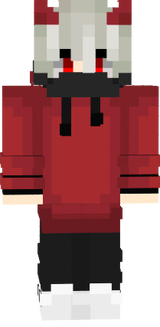 Hacker Skin