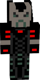 skin 1