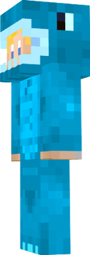 WelcheMItte Skin