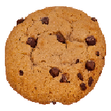 Preview of texture: Cookie