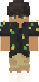 Stepik Hlavní skin Léto
