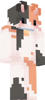 Gato Oficial