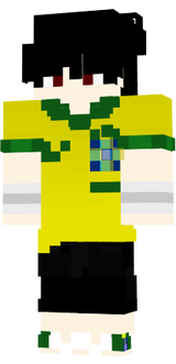 novak brasil